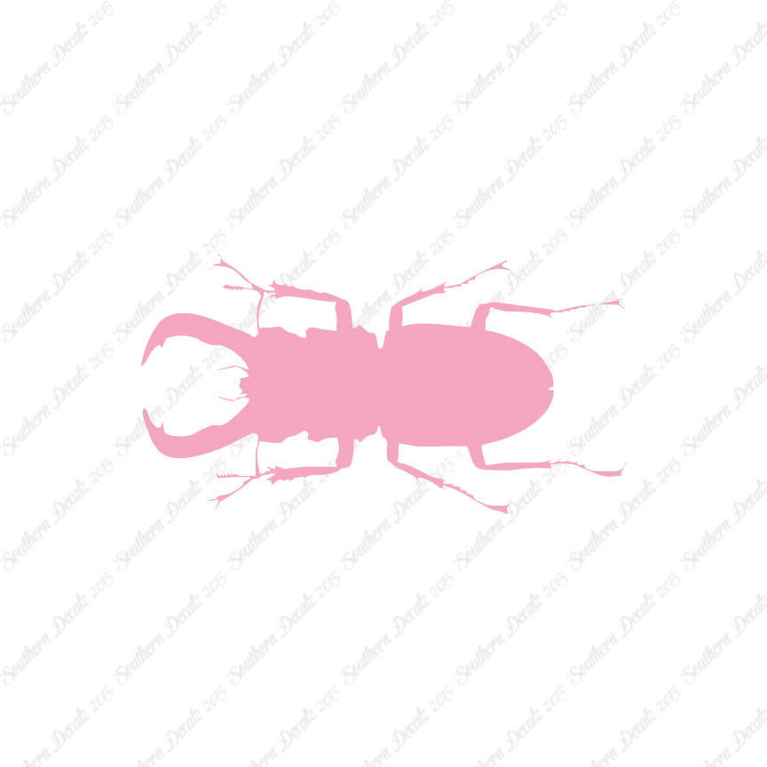 Stag Beetle Insect