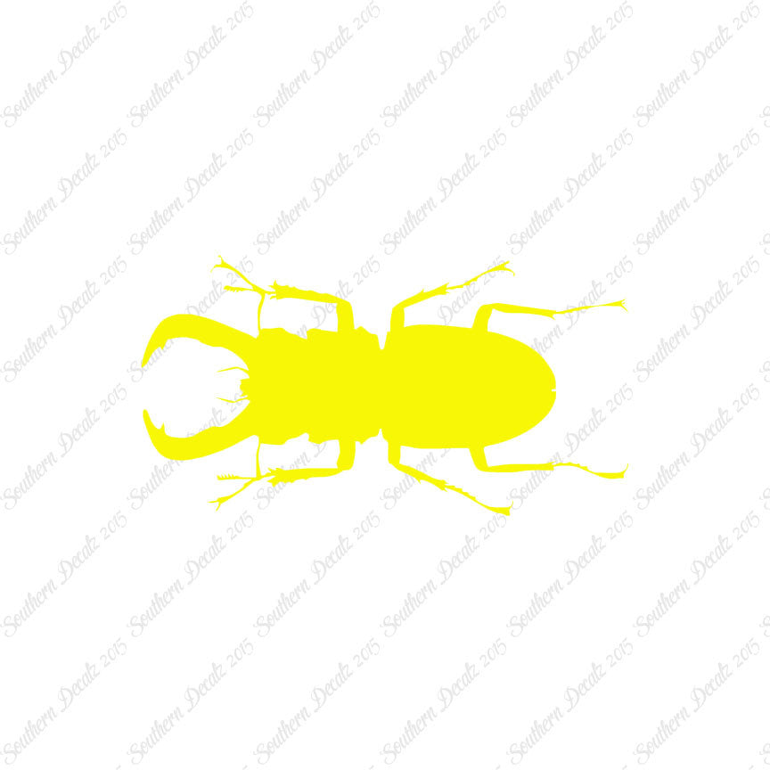 Stag Beetle Insect
