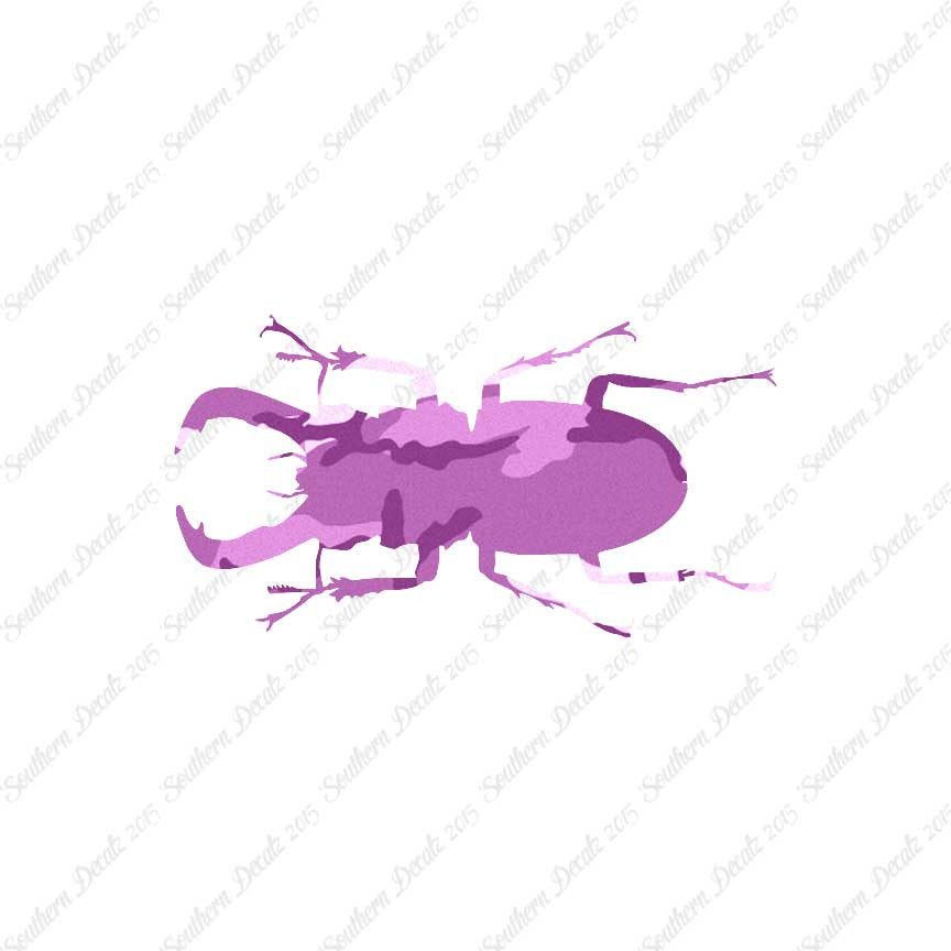 Stag Beetle Insect