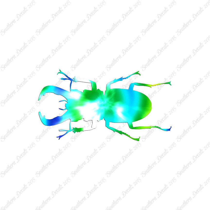 Stag Beetle Insect