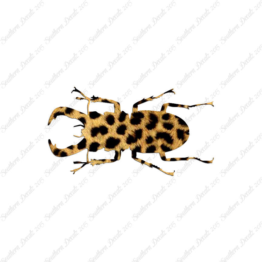 Stag Beetle Insect