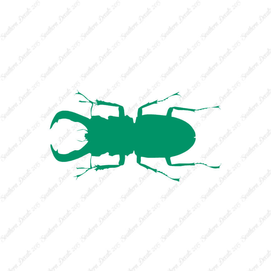 Stag Beetle Insect