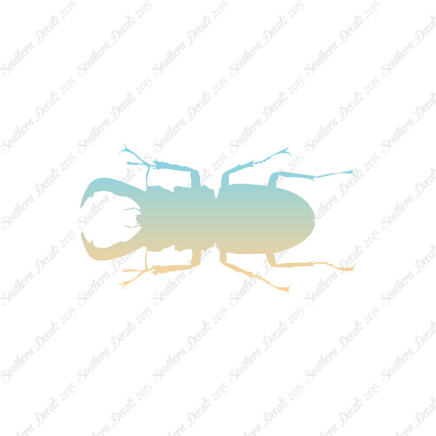 Stag Beetle Insect