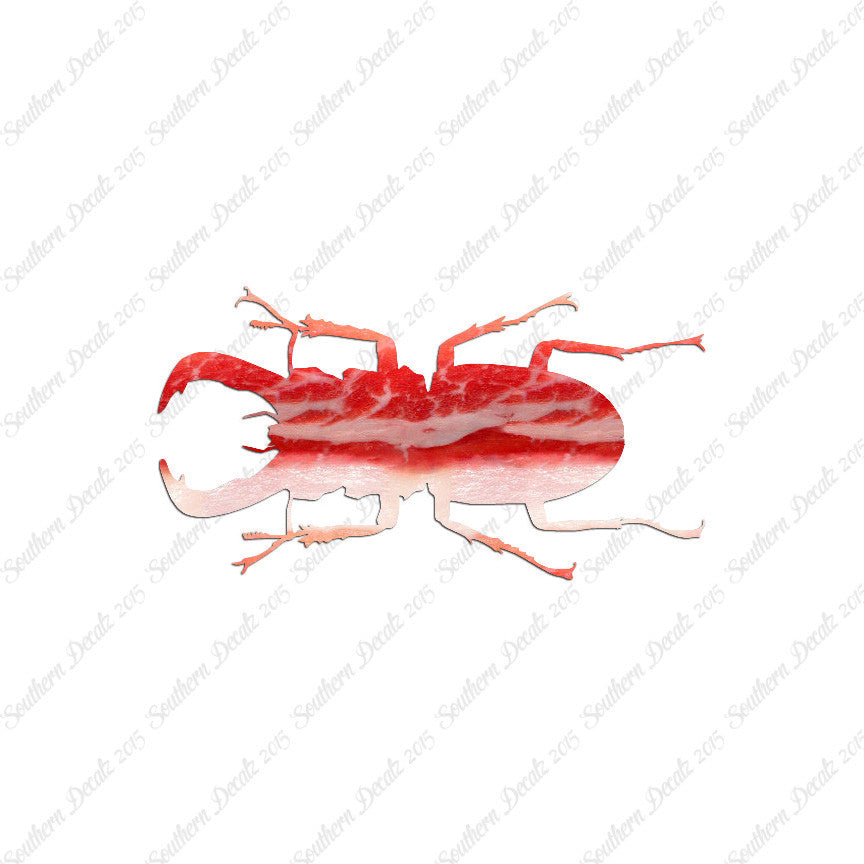 Stag Beetle Insect
