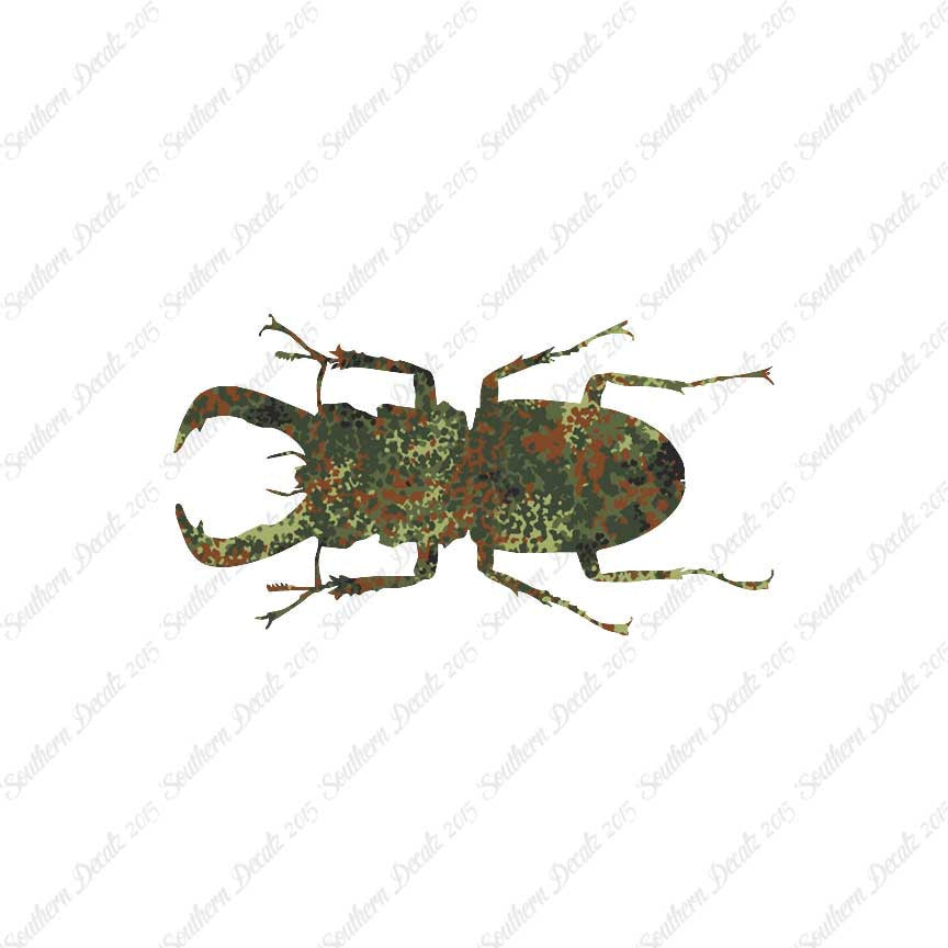 Stag Beetle Insect