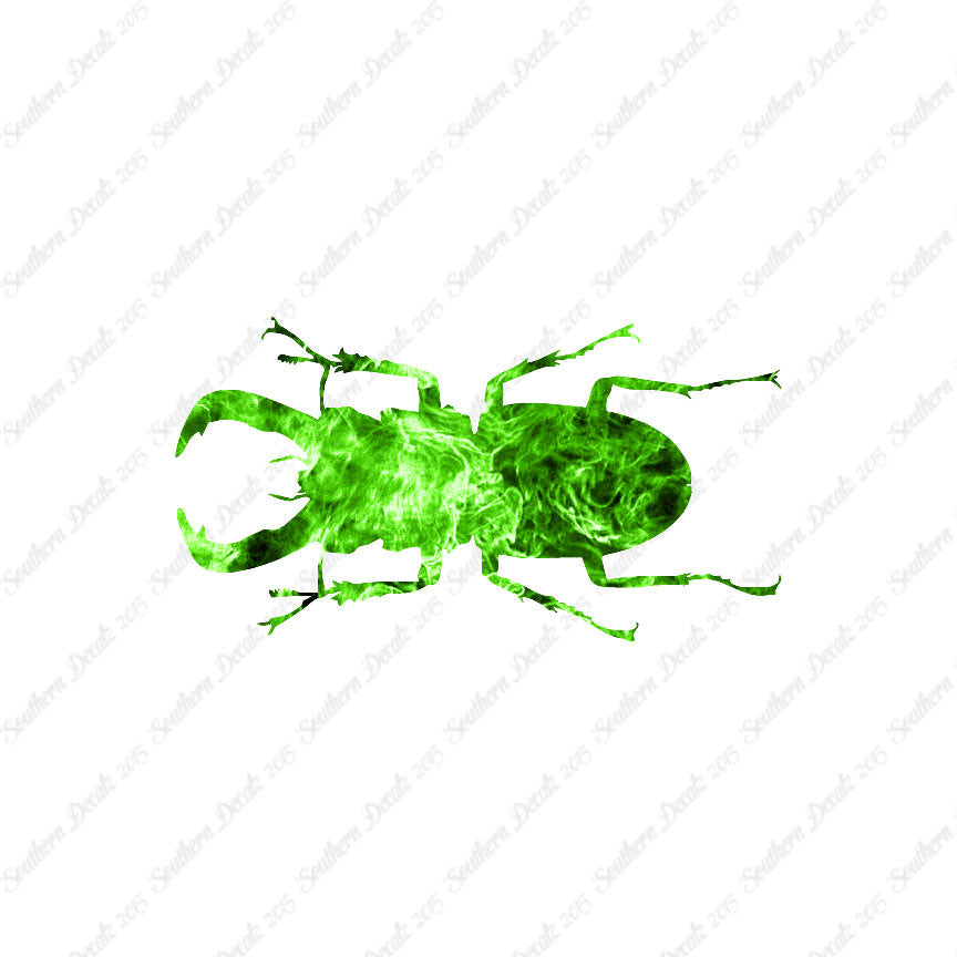 Stag Beetle Insect