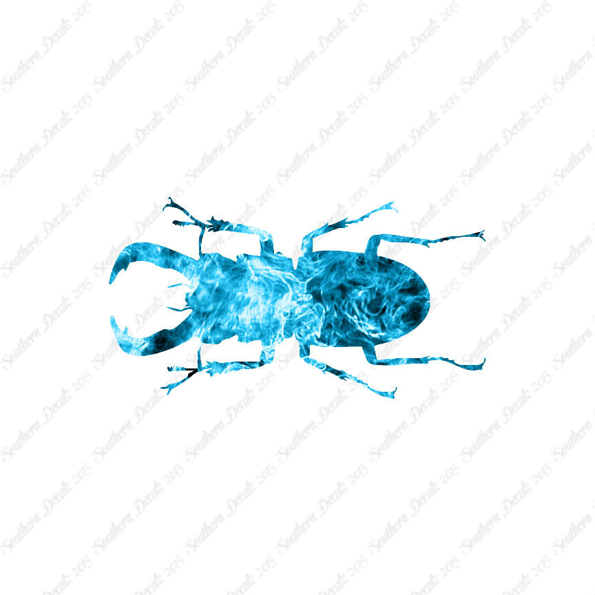 Stag Beetle Insect