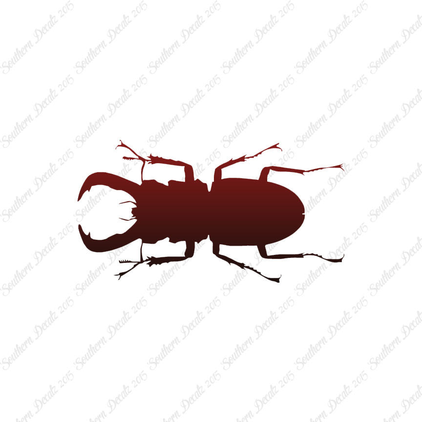 Stag Beetle Insect