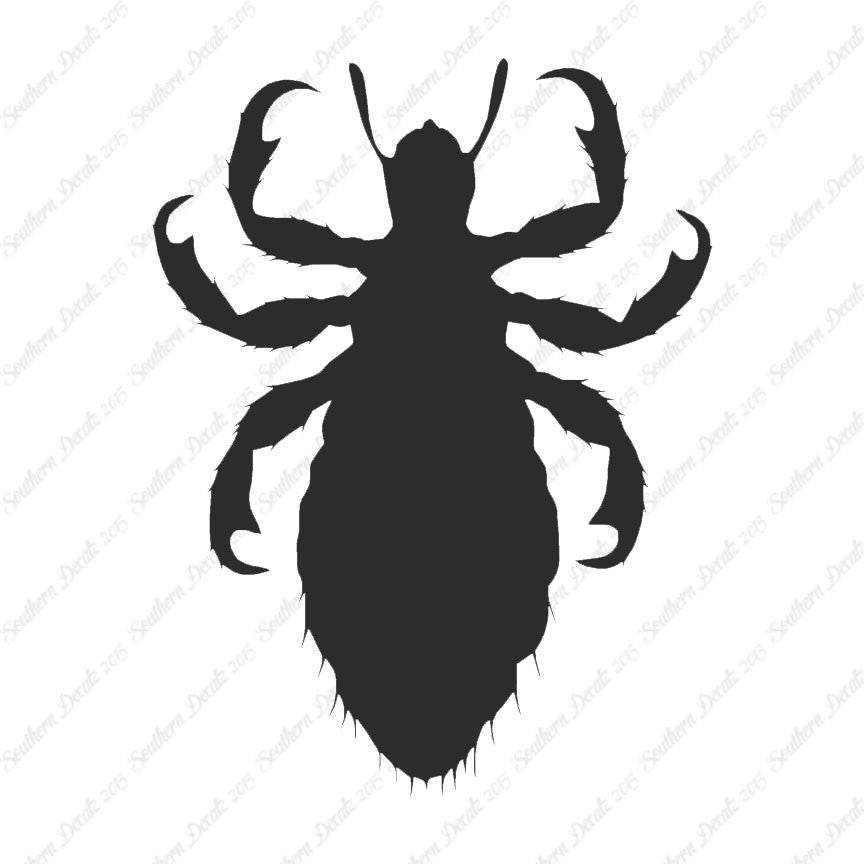 Flea Lice Insect