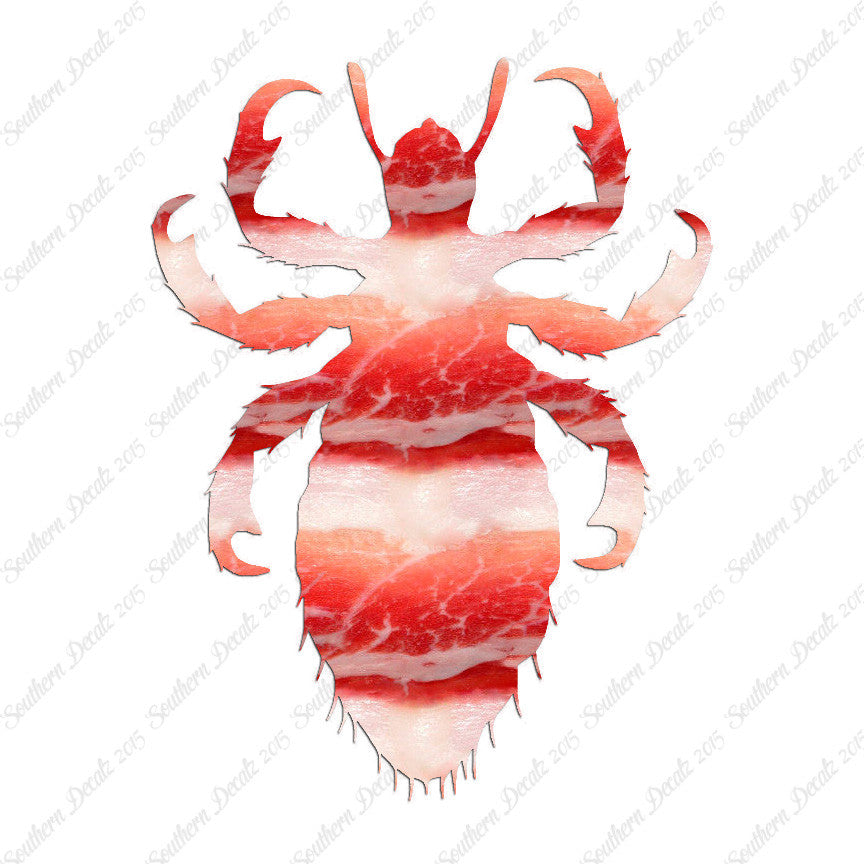 Flea Lice Insect
