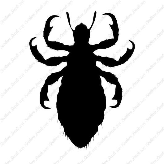 Flea Lice Insect