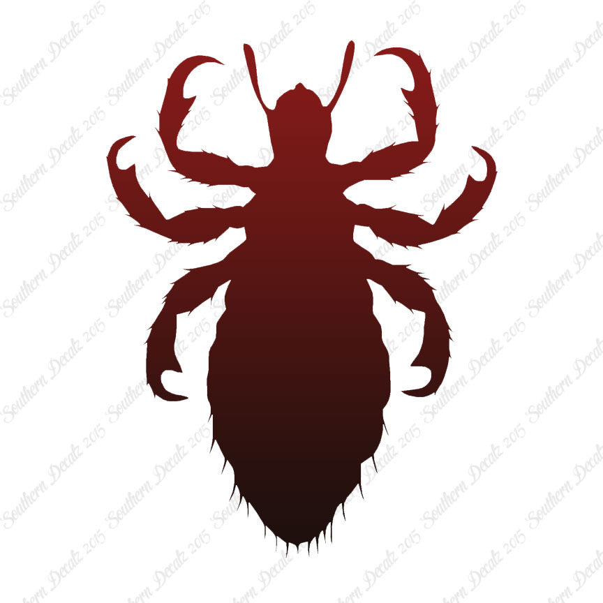 Flea Lice Insect