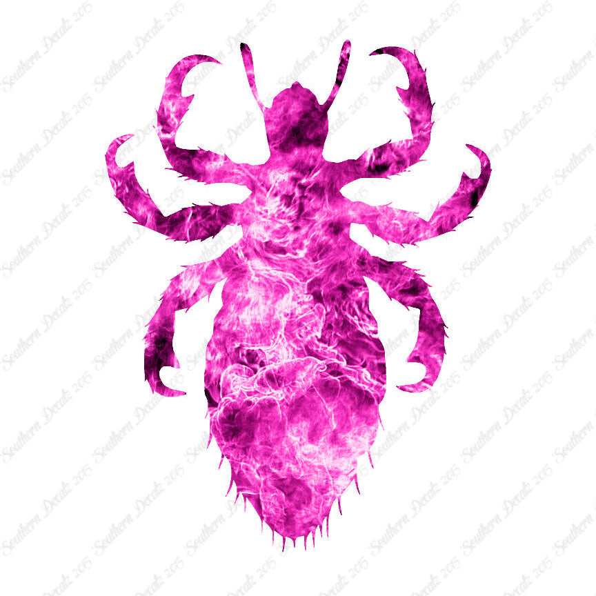 Flea Lice Insect