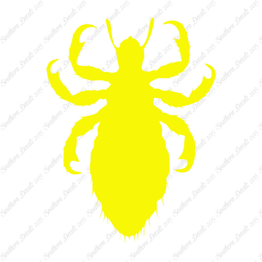 Flea Lice Insect