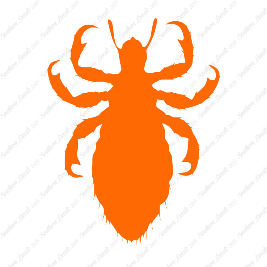 Flea Lice Insect