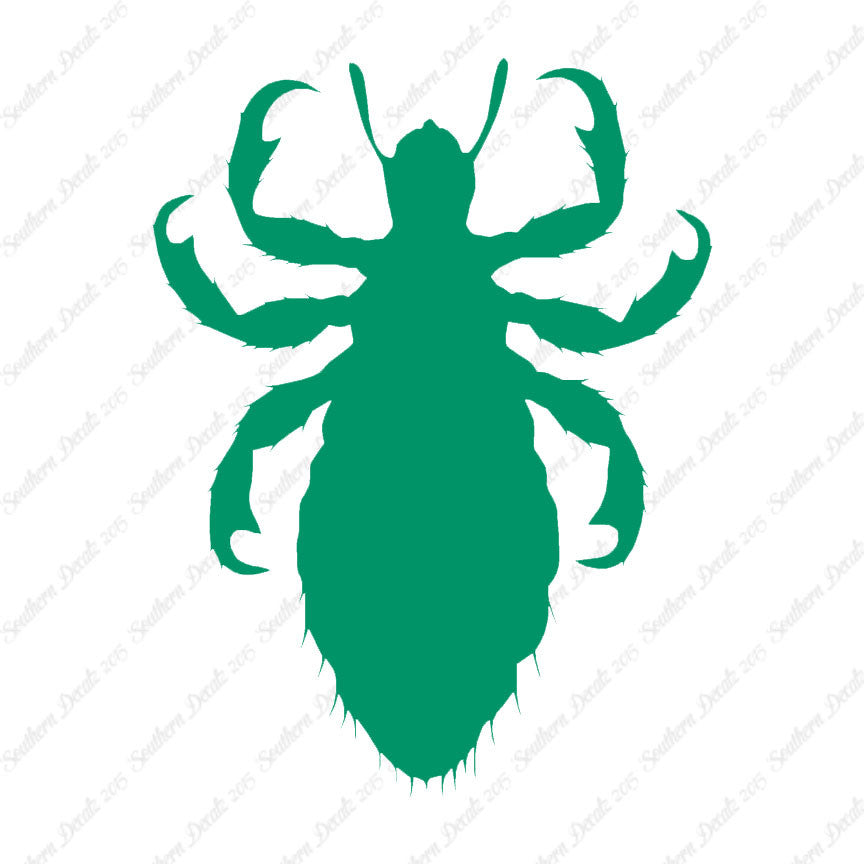 Flea Lice Insect