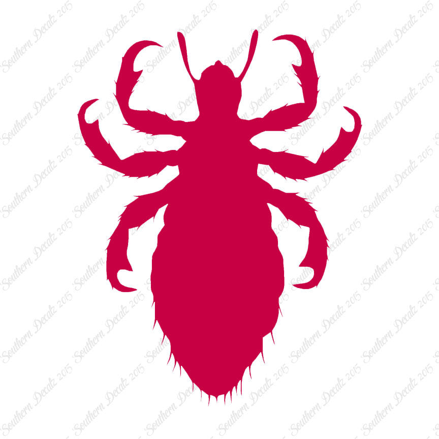 Flea Lice Insect