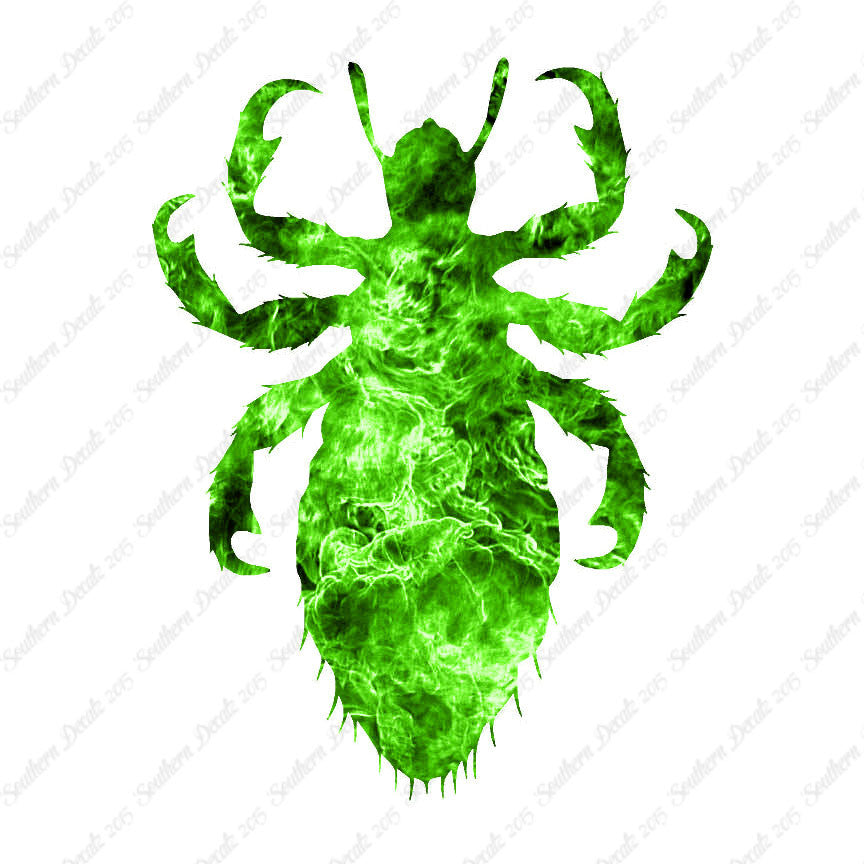 Flea Lice Insect