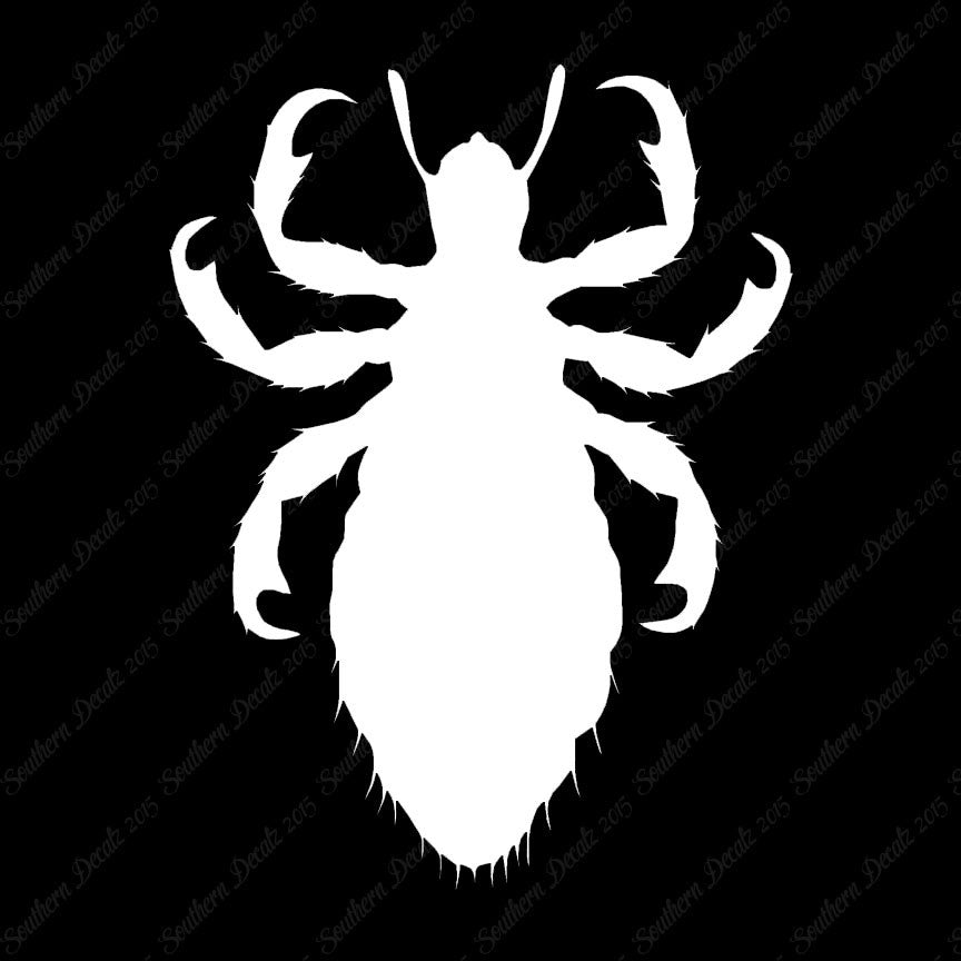 Flea Lice Insect