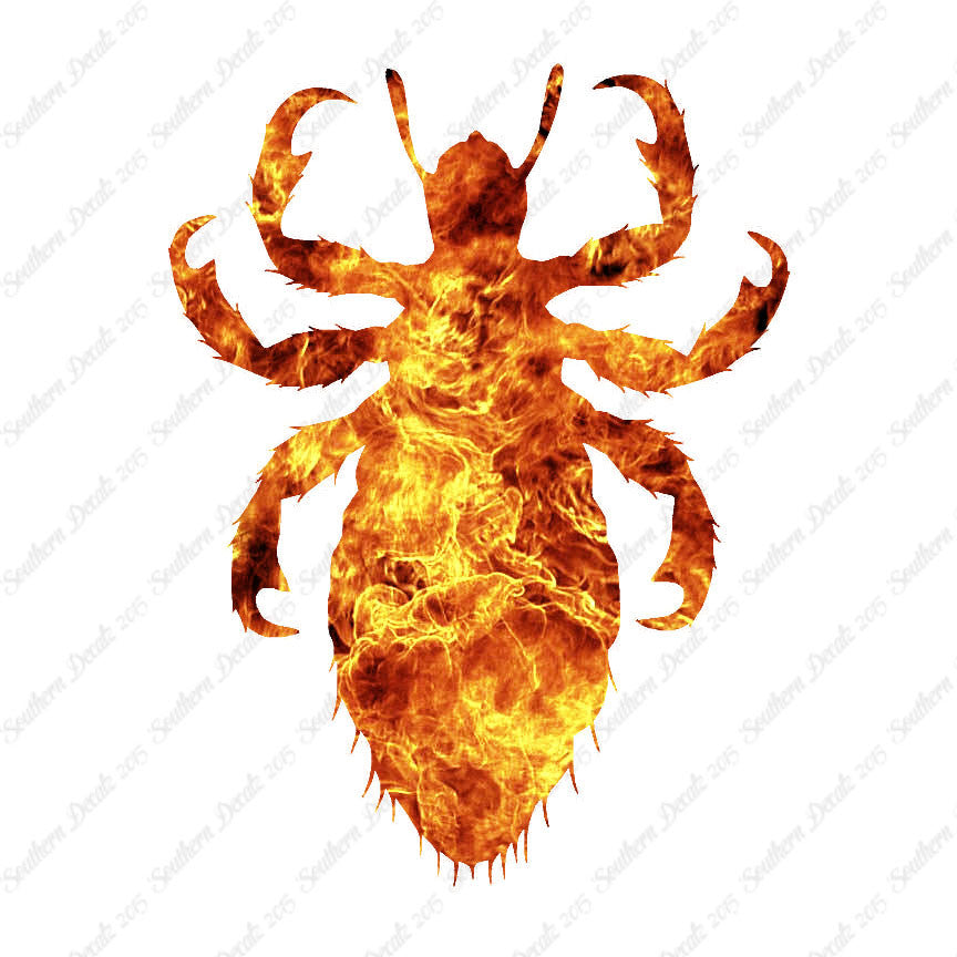 Flea Lice Insect