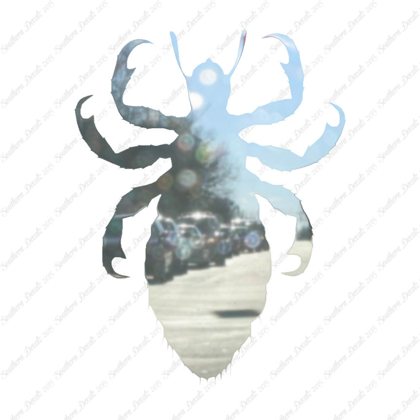 Flea Lice Insect