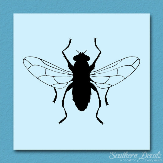 Gnat Fly Insect
