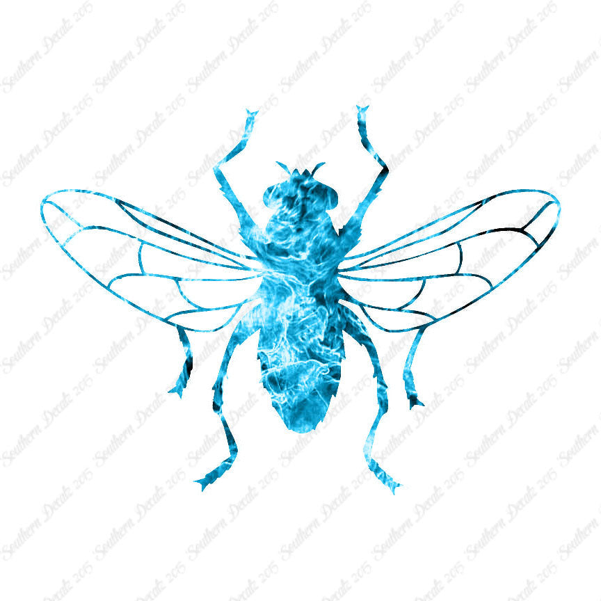 Gnat Fly Insect