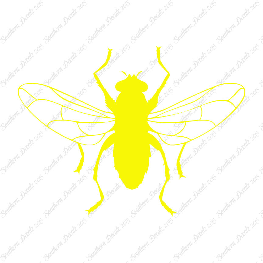 Gnat Fly Insect