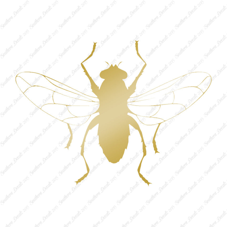 Gnat Fly Insect