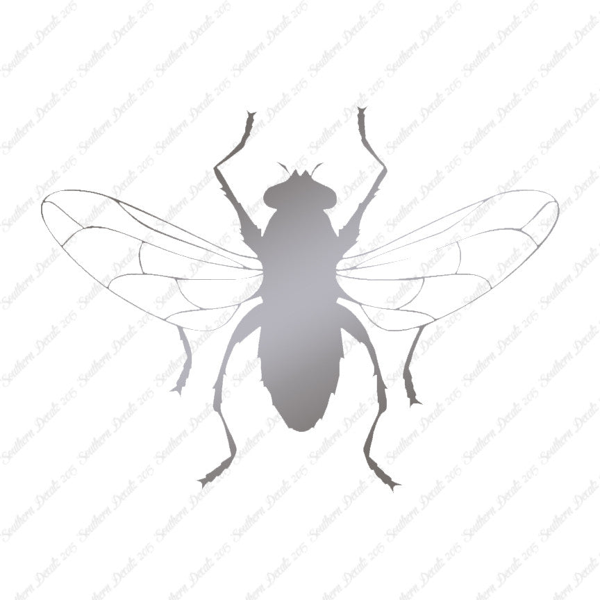 Gnat Fly Insect