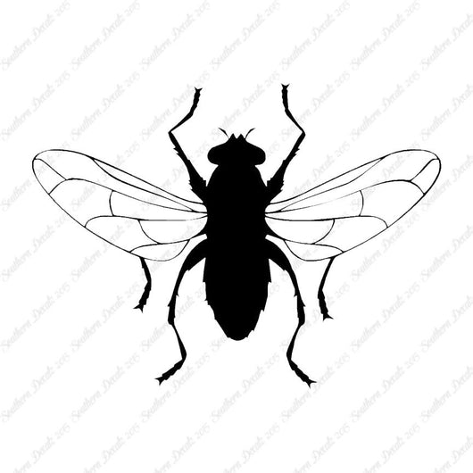 Gnat Fly Insect