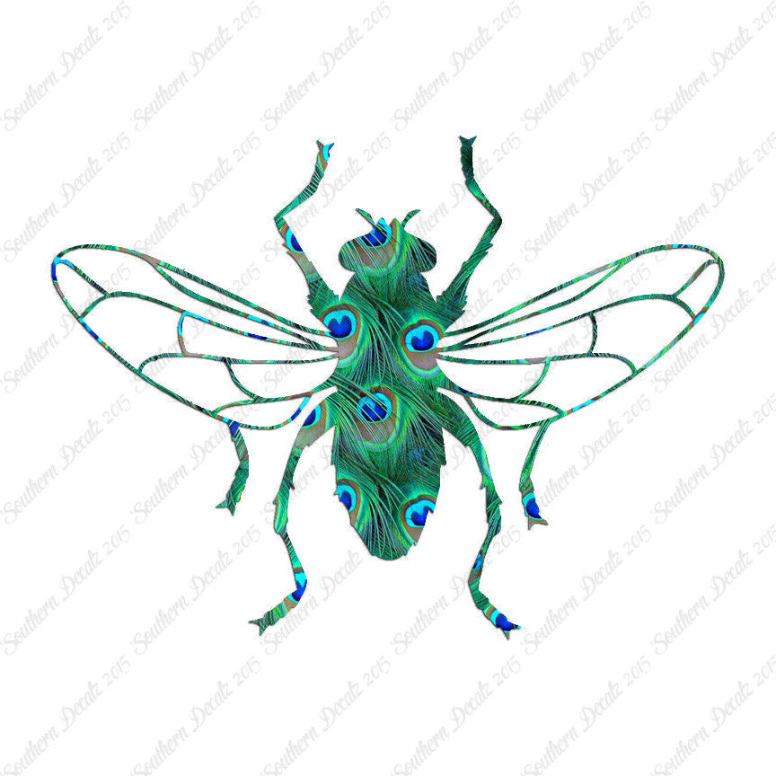 Gnat Fly Insect