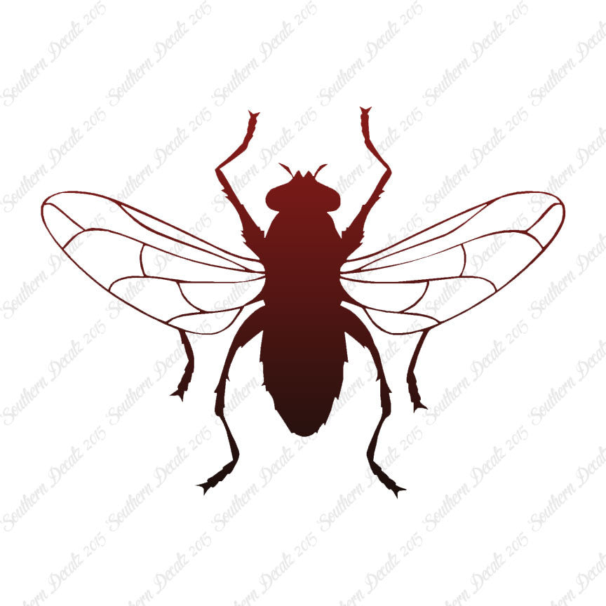 Gnat Fly Insect
