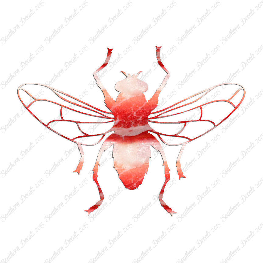 Gnat Fly Insect