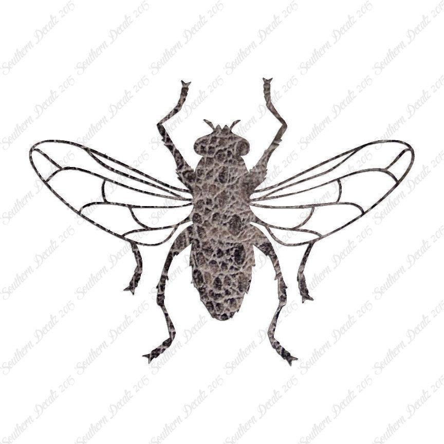 Gnat Fly Insect