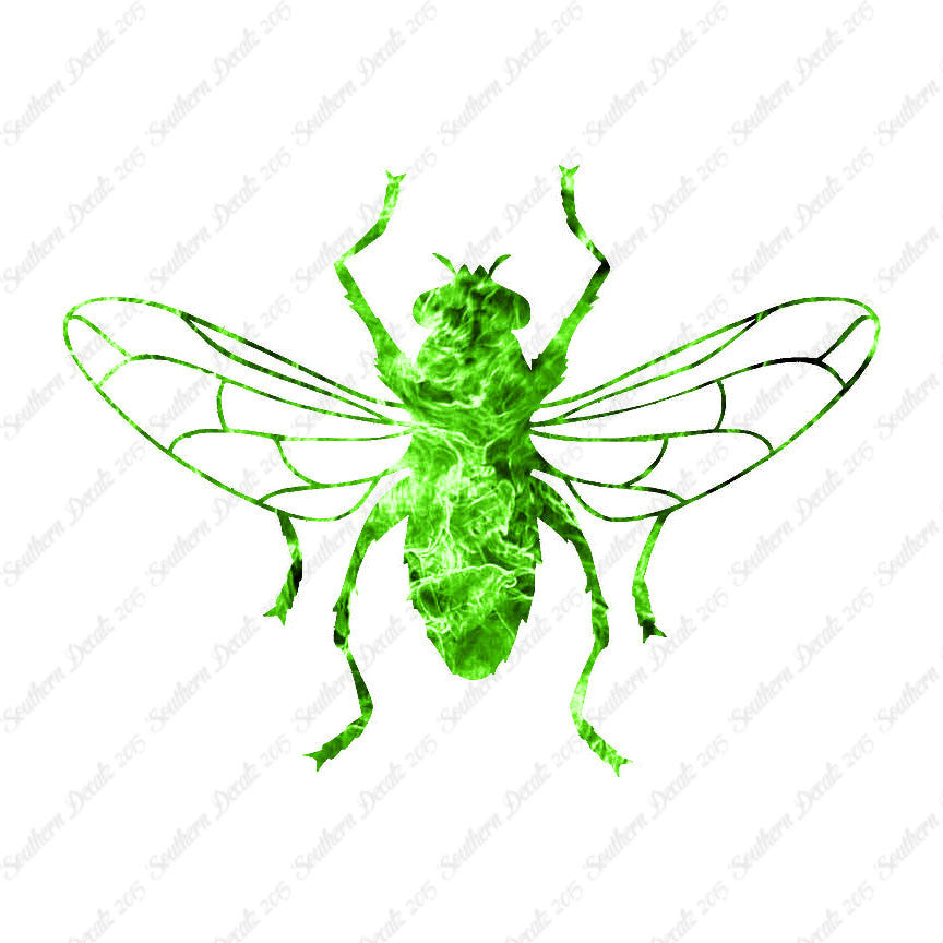 Gnat Fly Insect