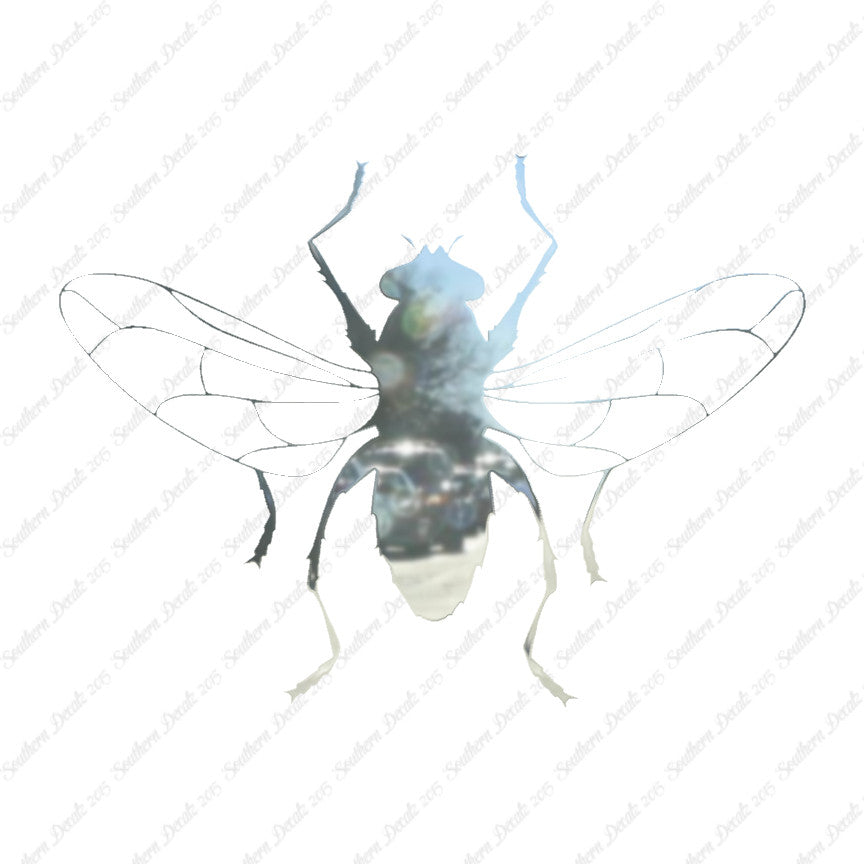 Gnat Fly Insect