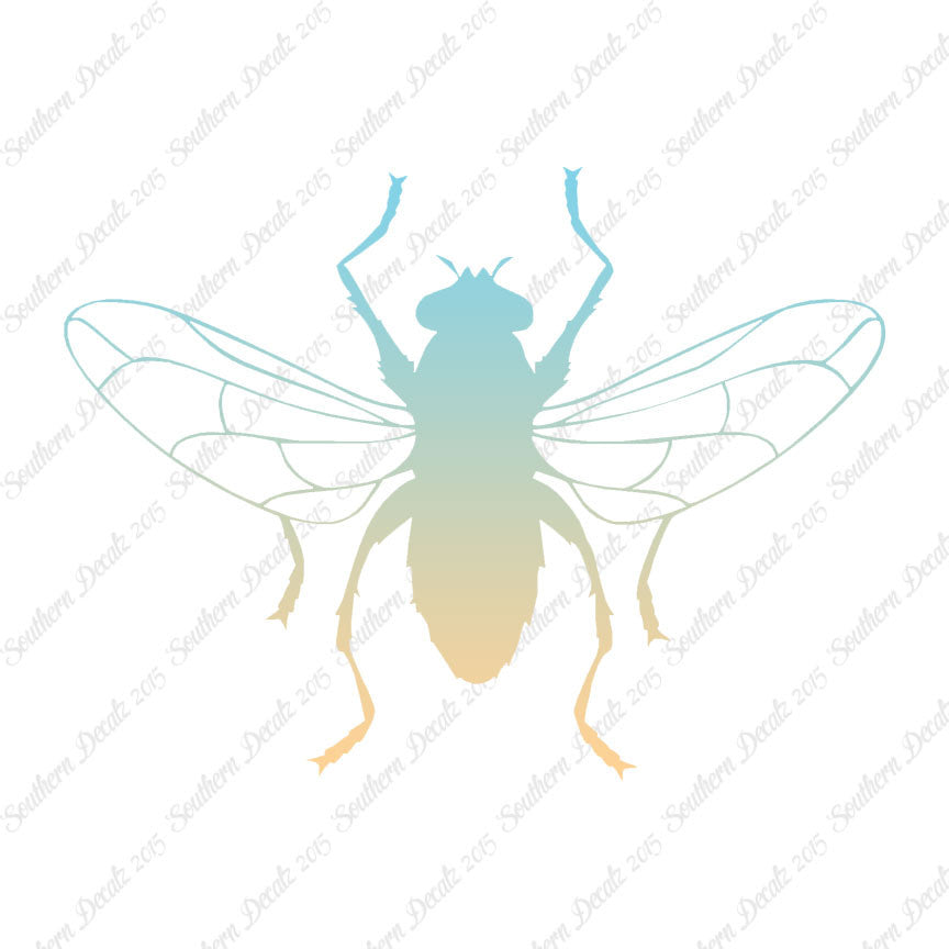 Gnat Fly Insect