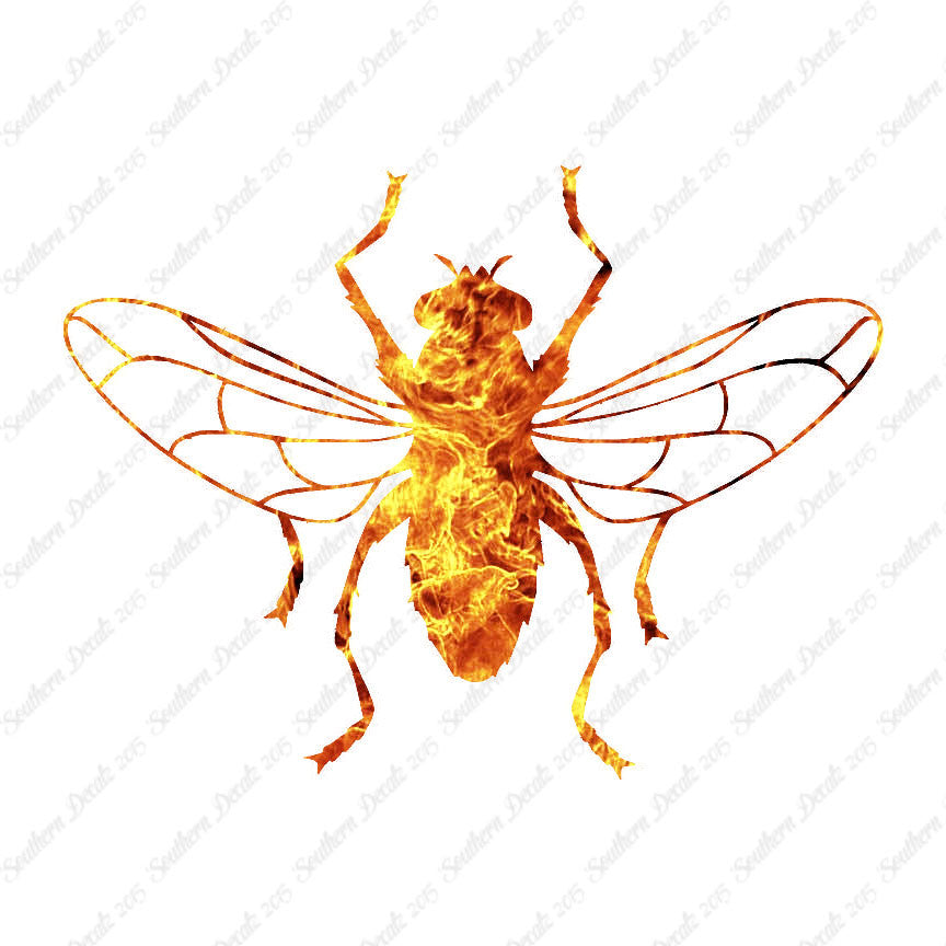 Gnat Fly Insect