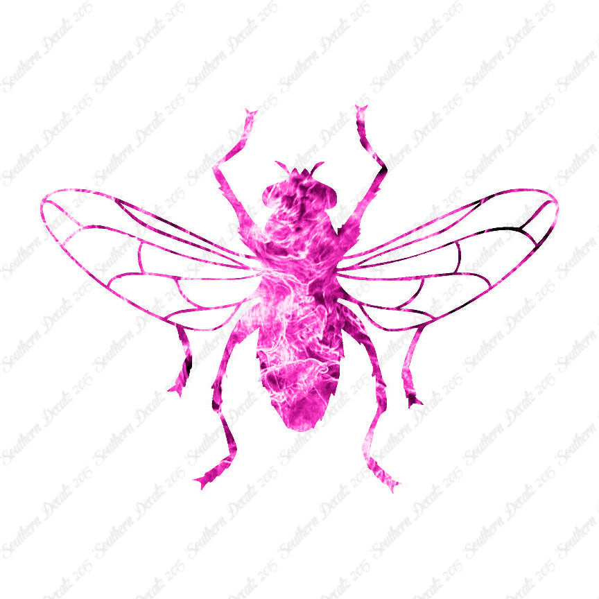 Gnat Fly Insect