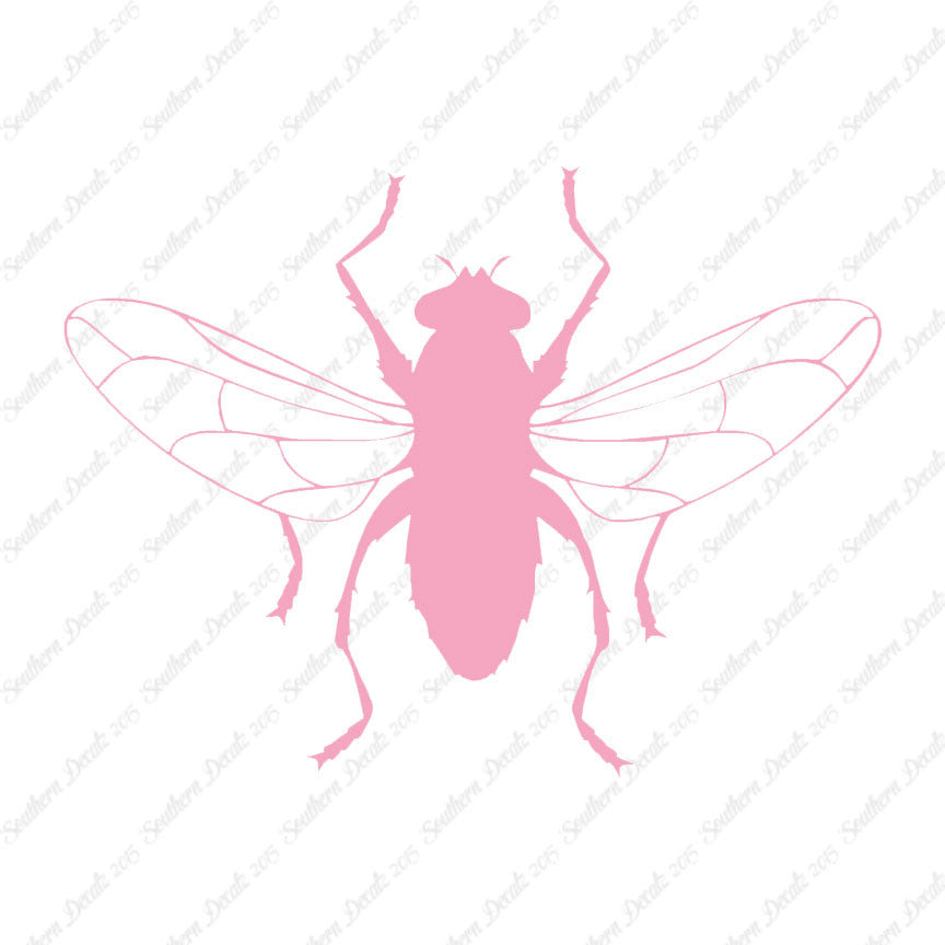 Gnat Fly Insect