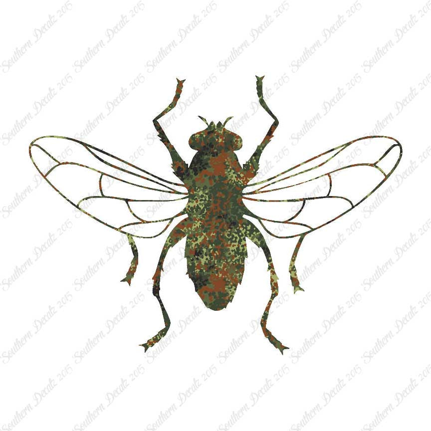Gnat Fly Insect
