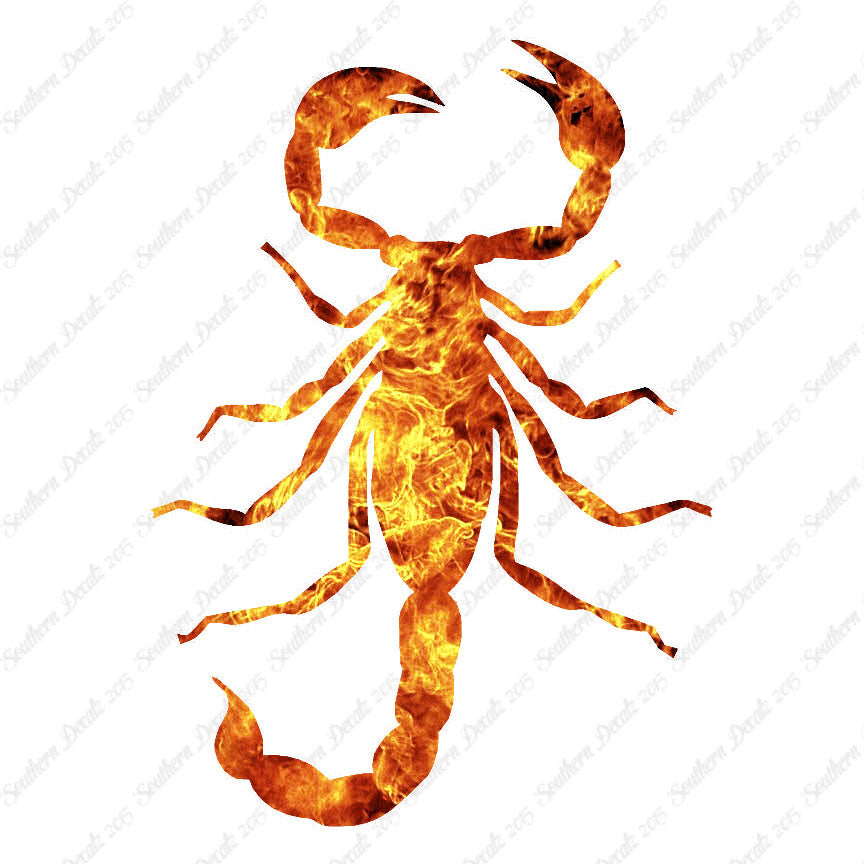Scorpion Silhouette