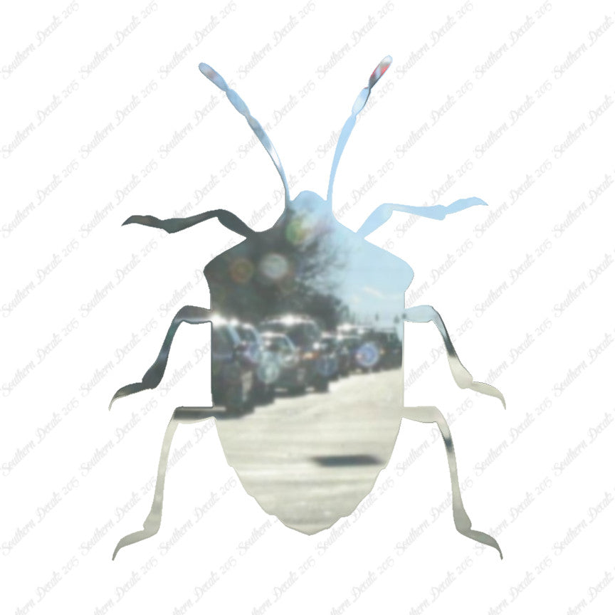 Ground Beetle Insect