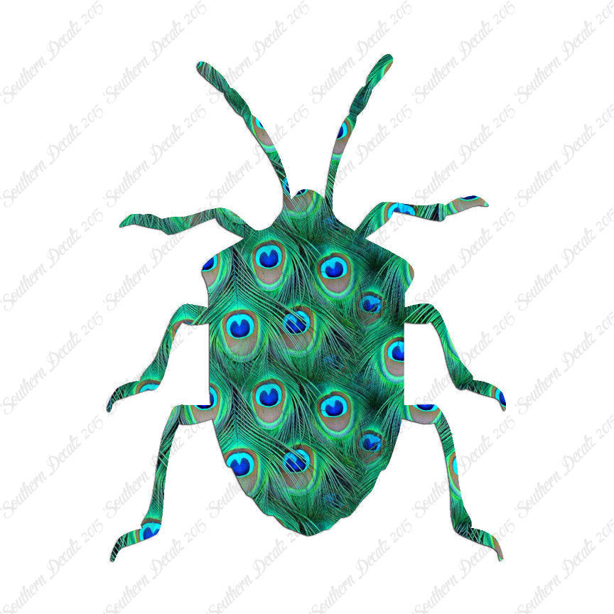 Ground Beetle Insect