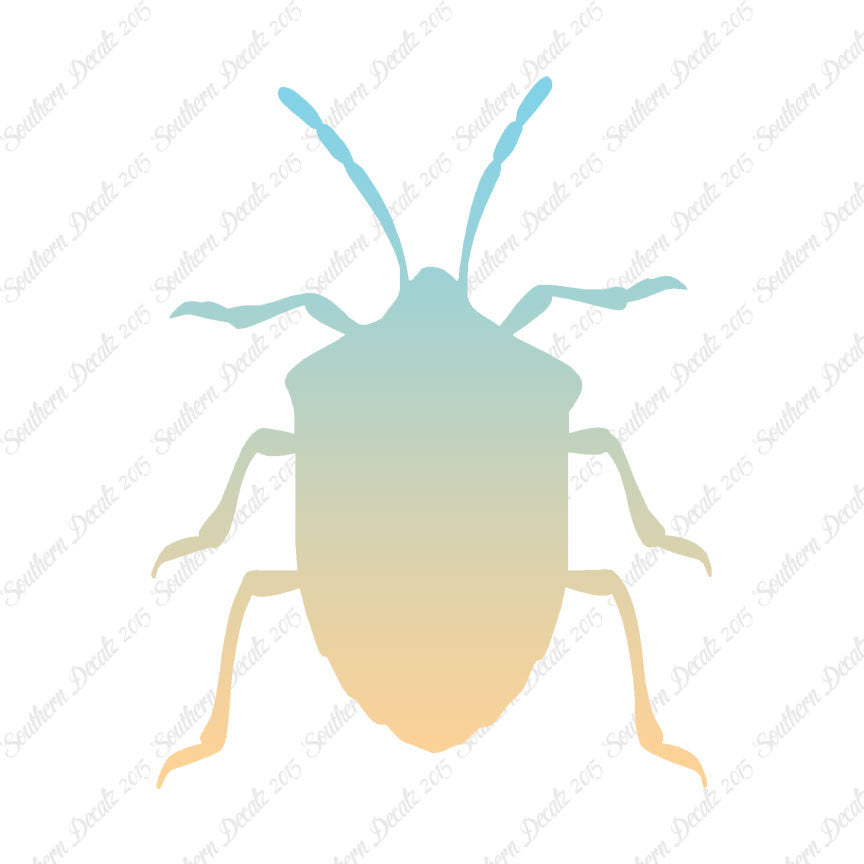 Ground Beetle Insect