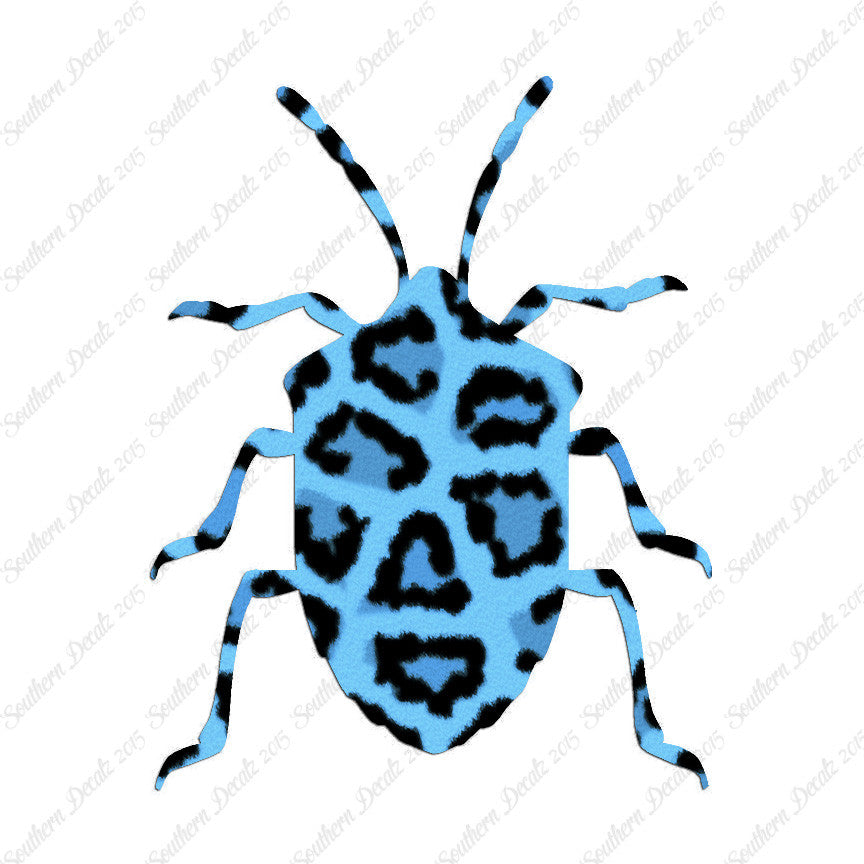 Ground Beetle Insect