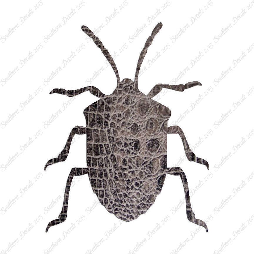 Ground Beetle Insect