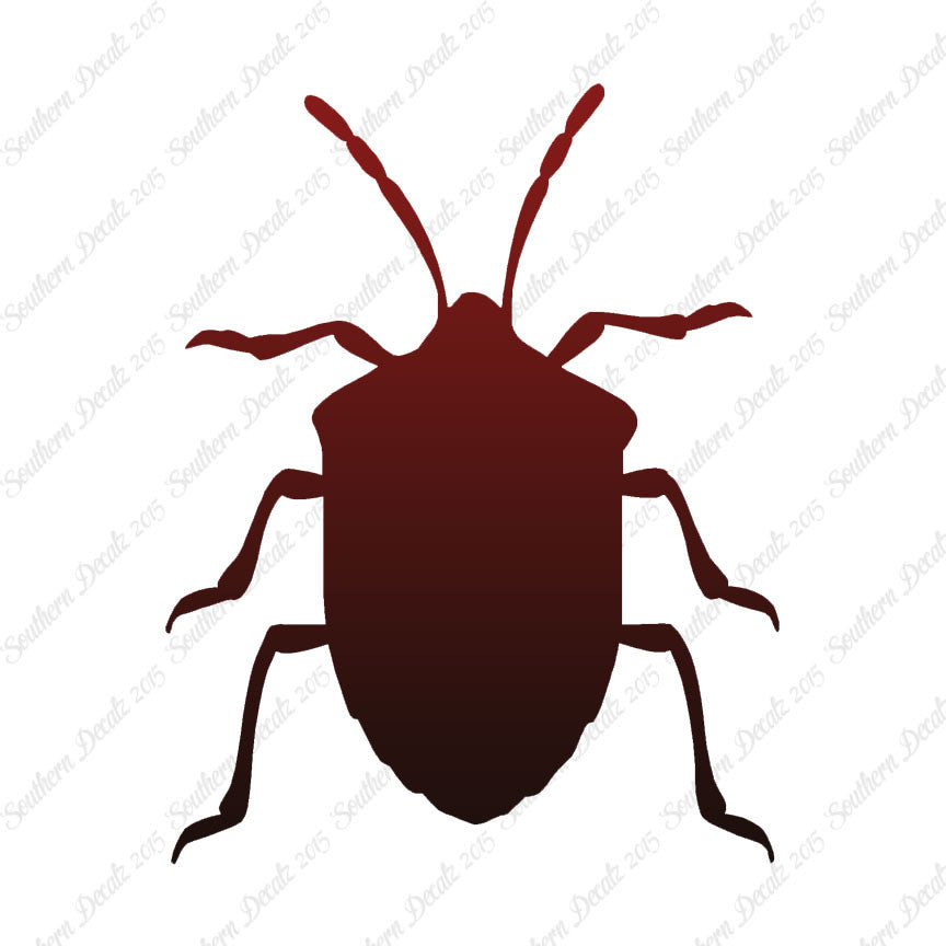 Ground Beetle Insect