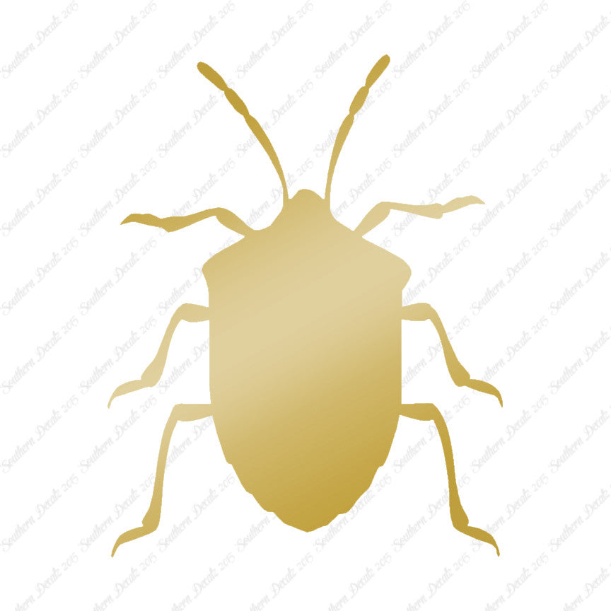 Ground Beetle Insect